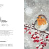 Rotkehlchen im Schnee, Edith Pixner - Thumbnail Image 2